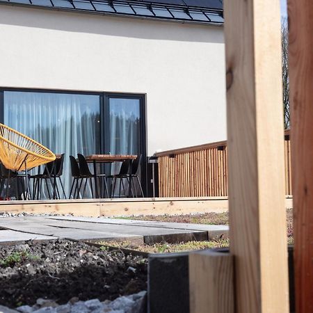 Loučovice Vila Dvorecnaヴィラ エクステリア 写真