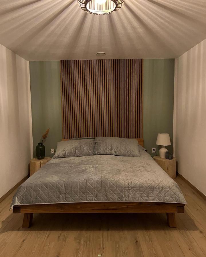 Loučovice Vila Dvorecnaヴィラ エクステリア 写真