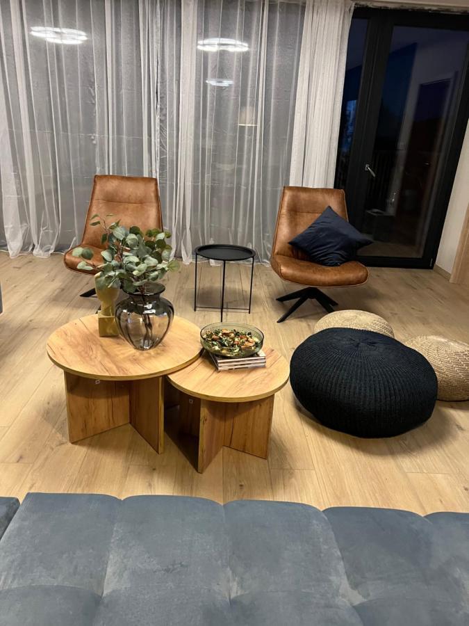 Loučovice Vila Dvorecnaヴィラ エクステリア 写真