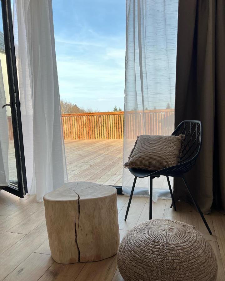 Loučovice Vila Dvorecnaヴィラ エクステリア 写真