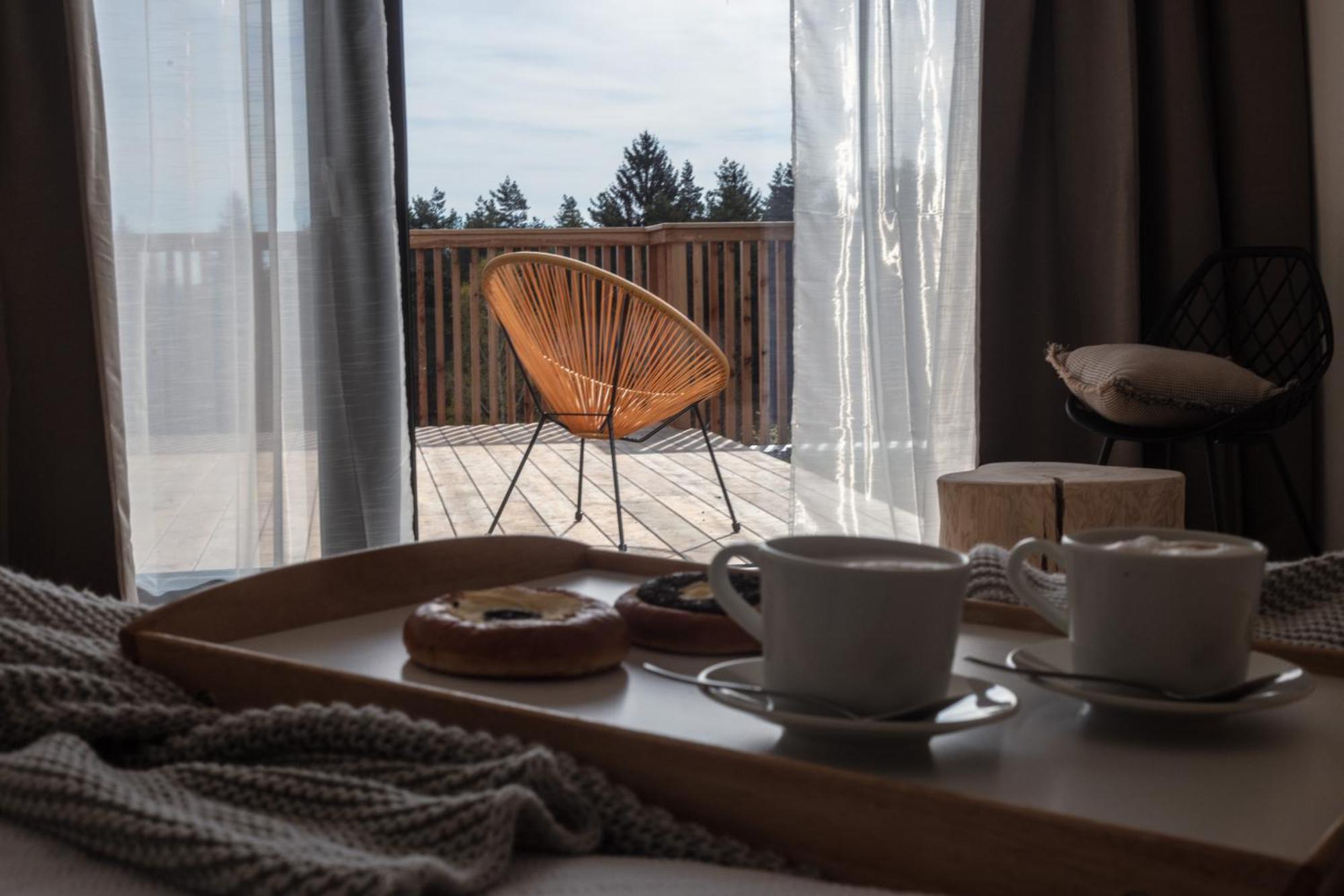 Loučovice Vila Dvorecnaヴィラ エクステリア 写真