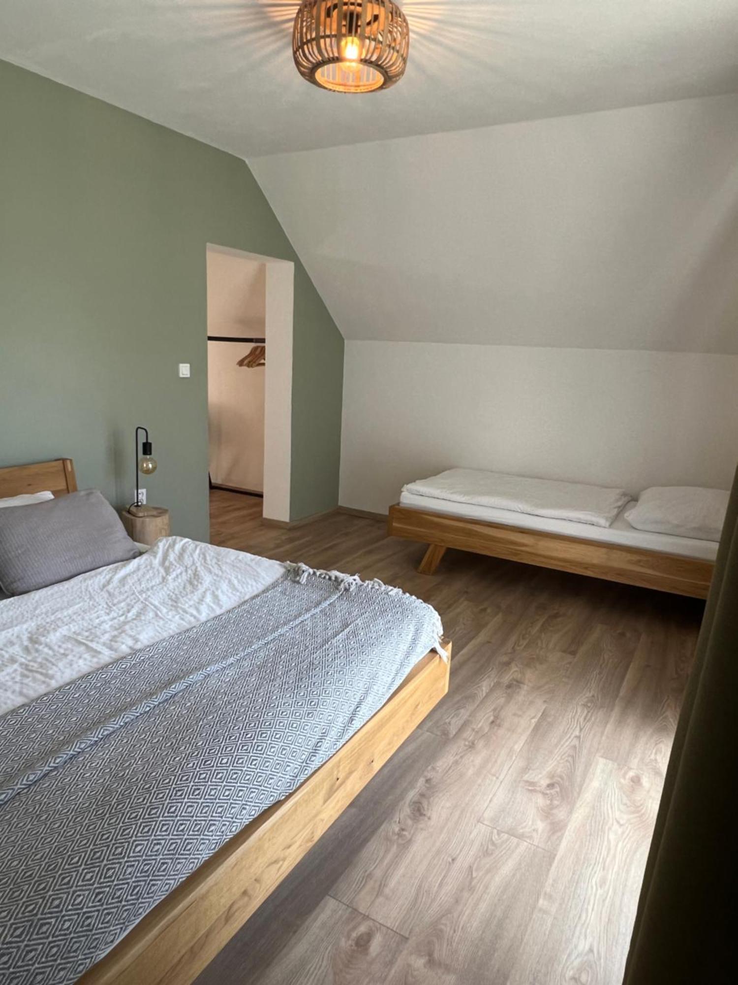 Loučovice Vila Dvorecnaヴィラ エクステリア 写真
