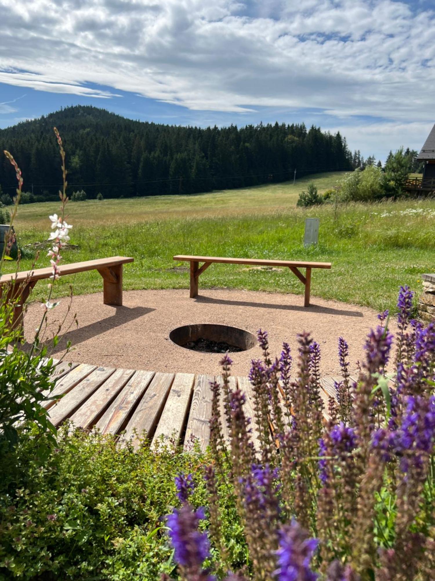 Loučovice Vila Dvorecnaヴィラ エクステリア 写真