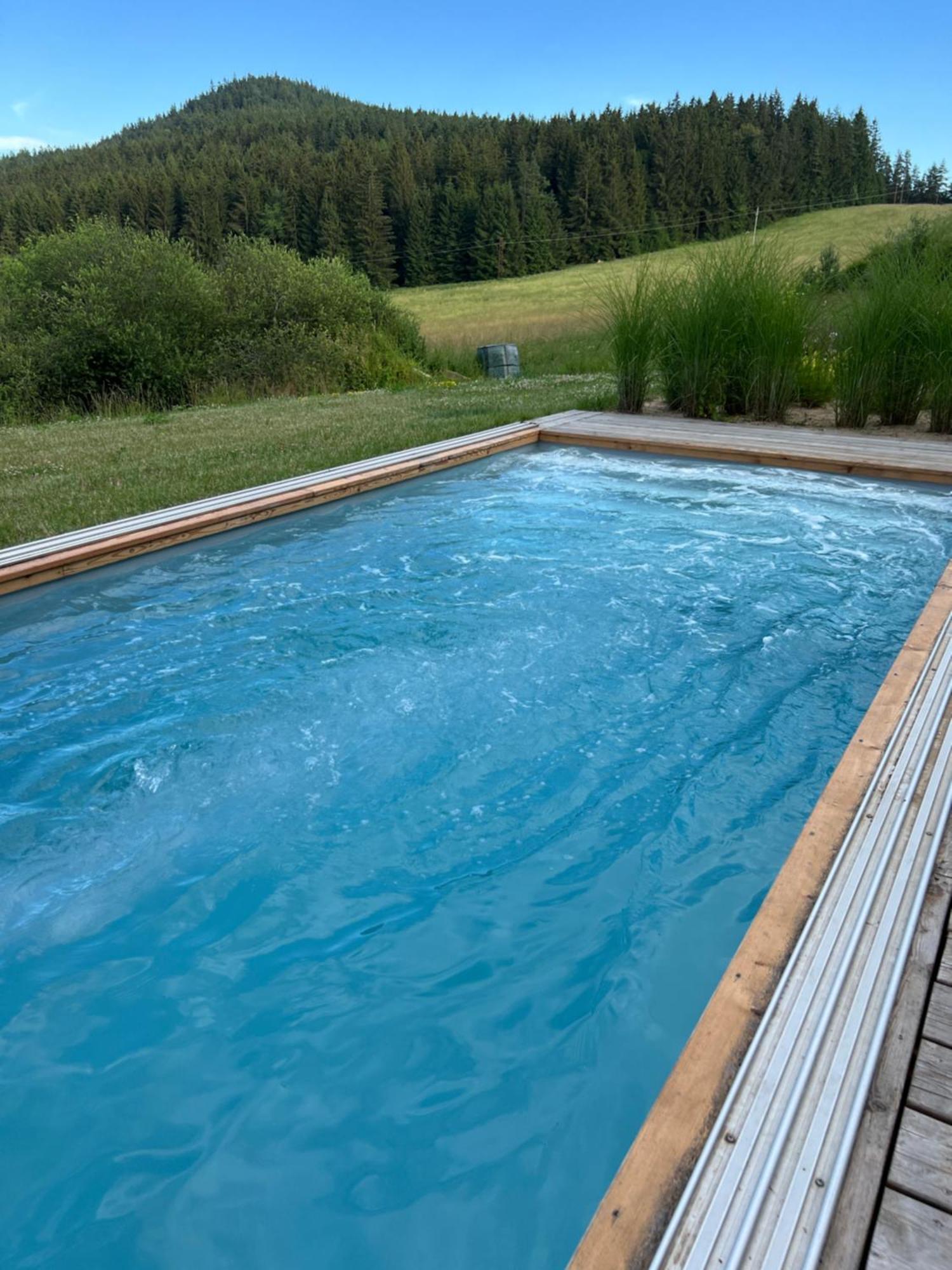 Loučovice Vila Dvorecnaヴィラ エクステリア 写真
